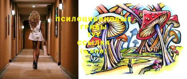 гашик Медвежьегорск