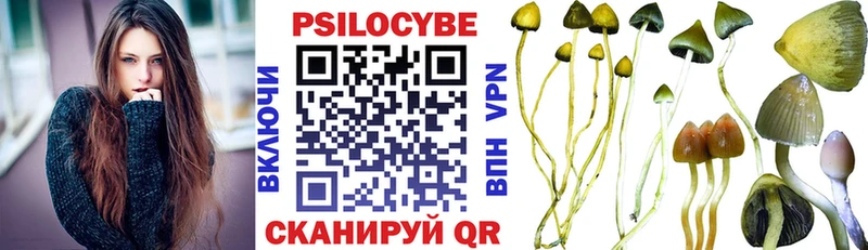 Галлюциногенные грибы Psilocybe  мориарти телеграм  Красково  наркота 